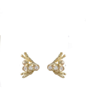 Star Cluster Studs