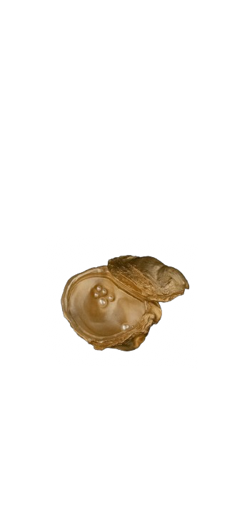 MICHAEL MICHAUD Oyster Dish with Pearls
