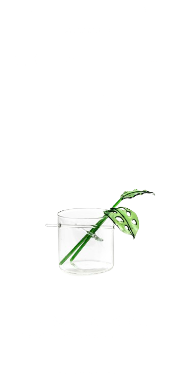 CASARIALTO Tropical Vase with 2 Green Leaves